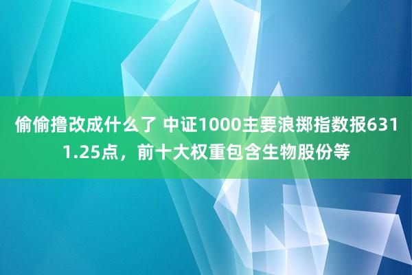 偷偷撸改成什么了 中证1000主要浪掷指数报6311.25点，前十大权重包含生物股份等