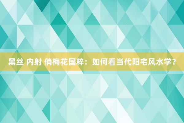 黑丝 内射 俏梅花国粹：如何看当代阳宅风水学？