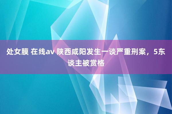 处女膜 在线av 陕西咸阳发生一谈严重刑案，5东谈主被赏格