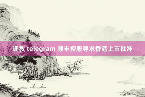 调教 telegram 顺丰控股寻求香港上市批准