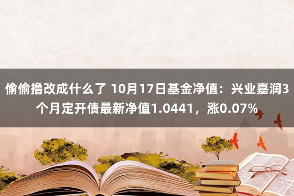 偷偷撸改成什么了 10月17日基金净值：兴业嘉润3个月定开债最新净值1.0441，涨0.07%