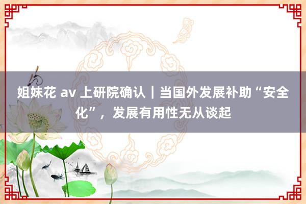 姐妹花 av 上研院确认｜当国外发展补助“安全化”，发展有用性无从谈起