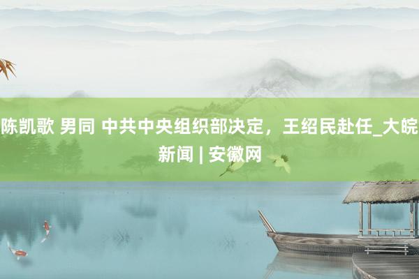 陈凯歌 男同 中共中央组织部决定，王绍民赴任_大皖新闻 | 安徽网