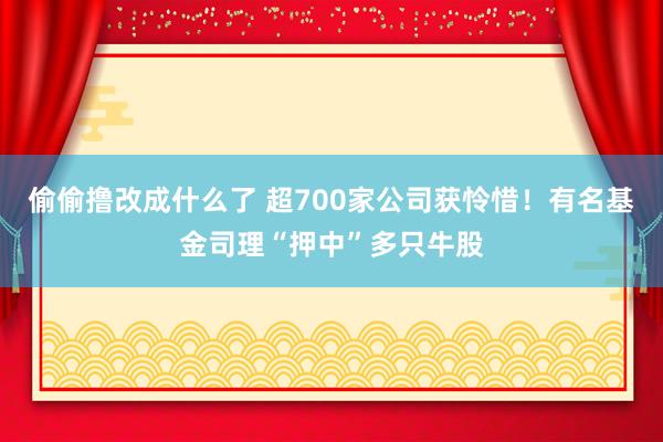 偷偷撸改成什么了 超700家公司获怜惜！有名基金司理“押中”多只牛股