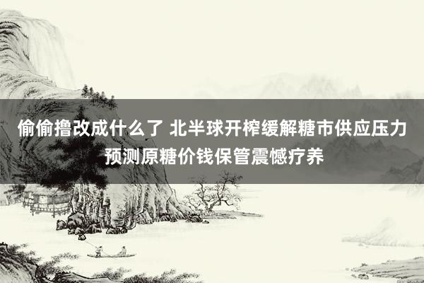 偷偷撸改成什么了 北半球开榨缓解糖市供应压力 预测原糖价钱保管震憾疗养