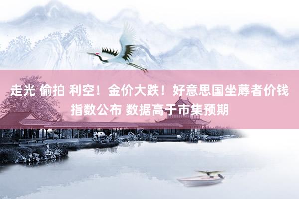 走光 偷拍 利空！金价大跌！好意思国坐蓐者价钱指数公布 数据高于市集预期