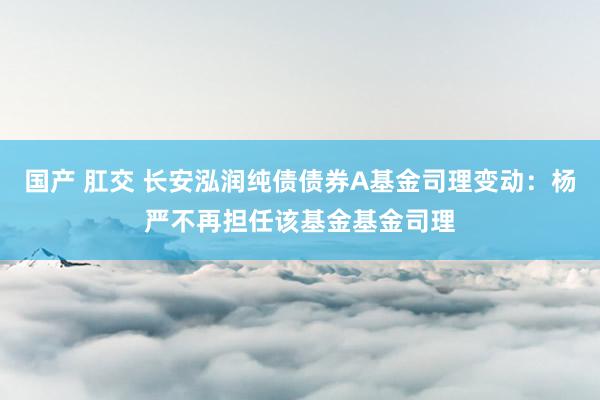 国产 肛交 长安泓润纯债债券A基金司理变动：杨严不再担任该基金基金司理