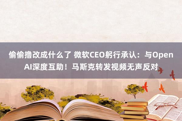 偷偷撸改成什么了 微软CEO躬行承认：与OpenAI深度互助！马斯克转发视频无声反对