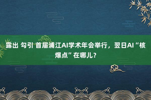 露出 勾引 首届浦江AI学术年会举行，翌日AI“核爆点”在哪儿？