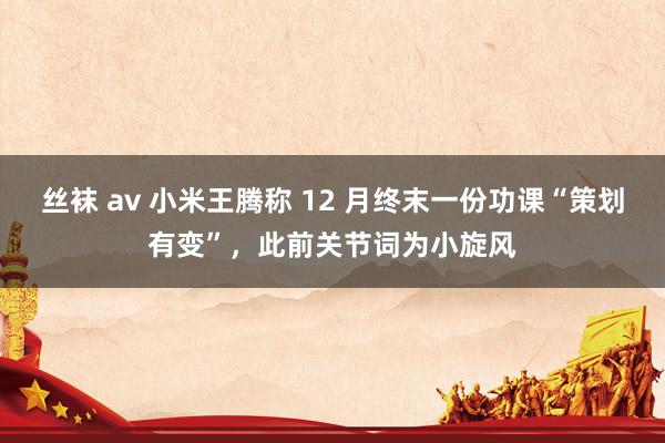 丝袜 av 小米王腾称 12 月终末一份功课“策划有变”，此前关节词为小旋风