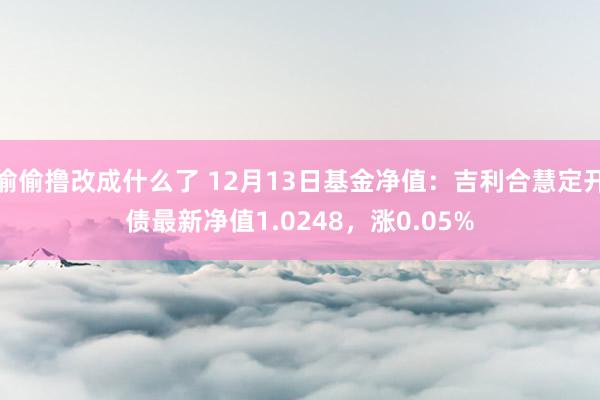 偷偷撸改成什么了 12月13日基金净值：吉利合慧定开债最新净值1.0248，涨0.05%