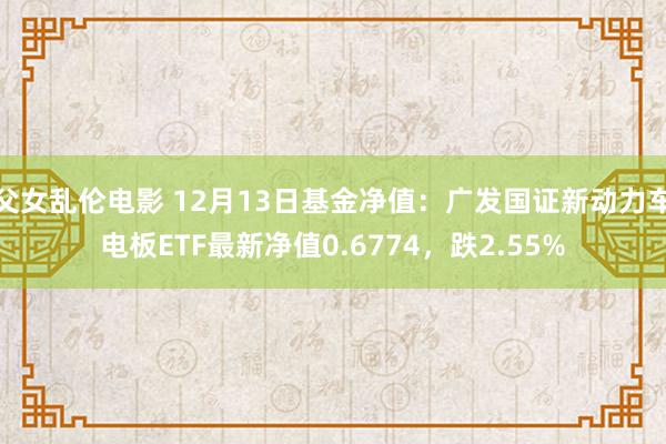 父女乱伦电影 12月13日基金净值：广发国证新动力车电板ETF最新净值0.6774，跌2.55%