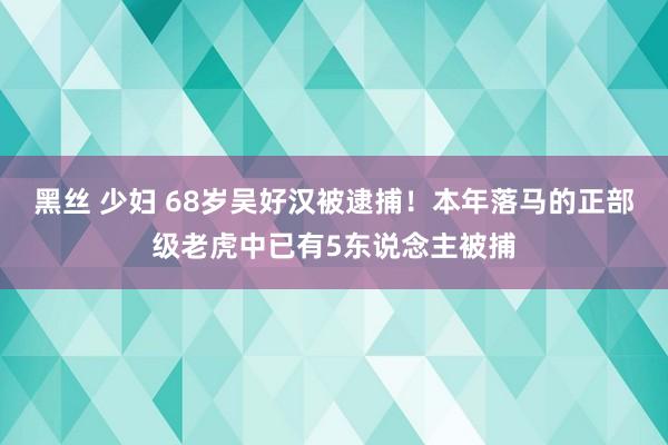 黑丝 少妇 68岁吴好汉被逮捕！本年落马的正部级老虎中已有5东说念主被捕