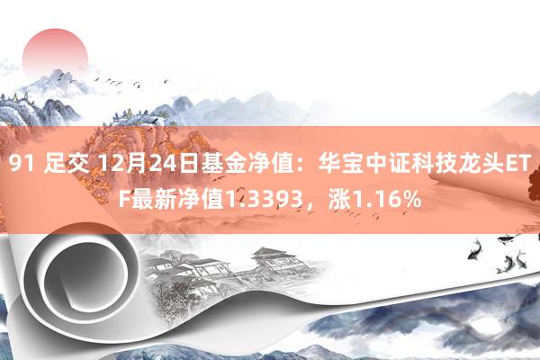 91 足交 12月24日基金净值：华宝中证科技龙头ETF最新净值1.3393，涨1.16%