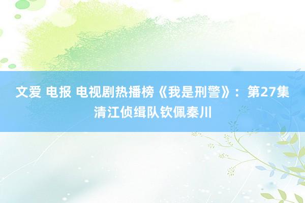 文爱 电报 电视剧热播榜《我是刑警》：第27集清江侦缉队钦佩秦川