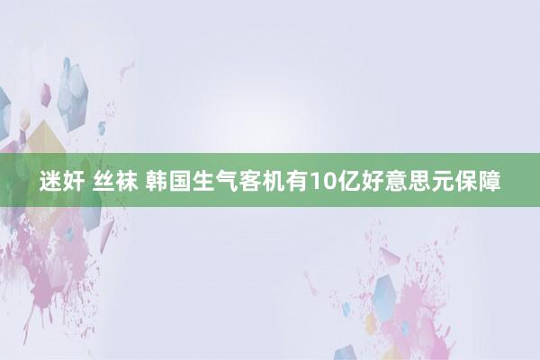 迷奸 丝袜 韩国生气客机有10亿好意思元保障