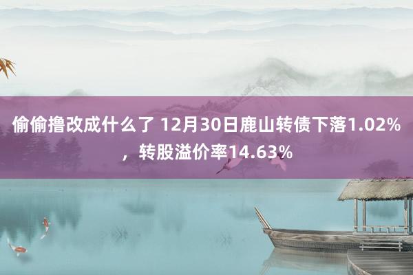 偷偷撸改成什么了 12月30日鹿山转债下落1.02%，转股溢价率14.63%