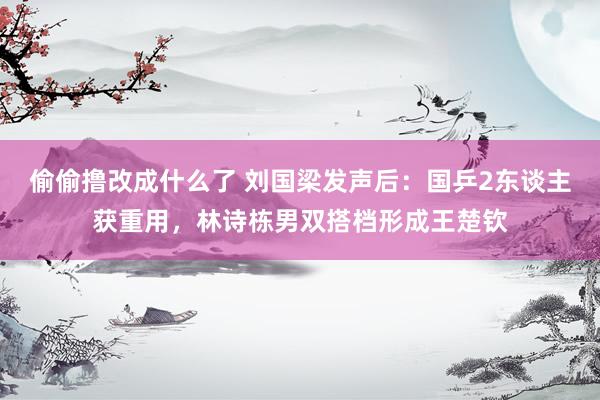 偷偷撸改成什么了 刘国梁发声后：国乒2东谈主获重用，林诗栋男双搭档形成王楚钦