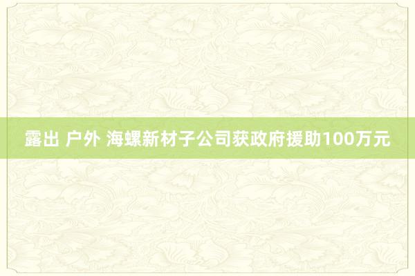 露出 户外 海螺新材子公司获政府援助100万元