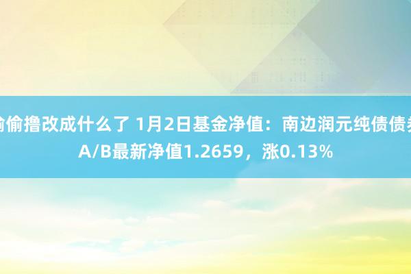 偷偷撸改成什么了 1月2日基金净值：南边润元纯债债券A/B最新净值1.2659，涨0.13%