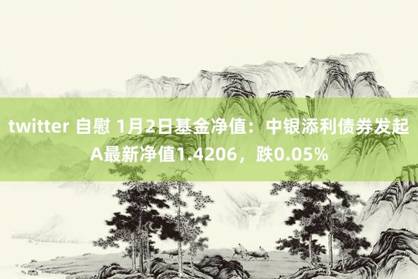 twitter 自慰 1月2日基金净值：中银添利债券发起A最新净值1.4206，跌0.05%