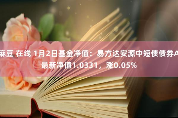 麻豆 在线 1月2日基金净值：易方达安源中短债债券A最新净值1.0331，涨0.05%