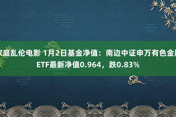 家庭乱伦电影 1月2日基金净值：南边中证申万有色金属ETF最新净值0.964，跌0.83%