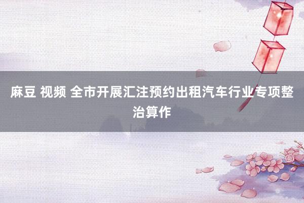 麻豆 视频 全市开展汇注预约出租汽车行业专项整治算作