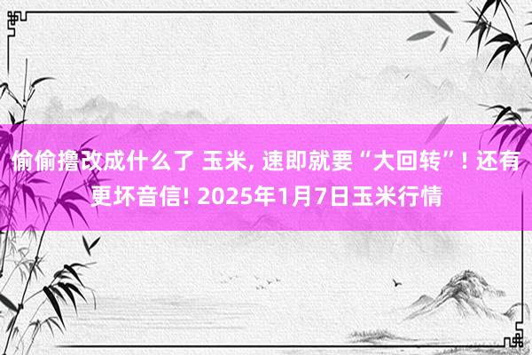 偷偷撸改成什么了 玉米， 速即就要“大回转”! 还有更坏音信! 2025年1月7日玉米行情