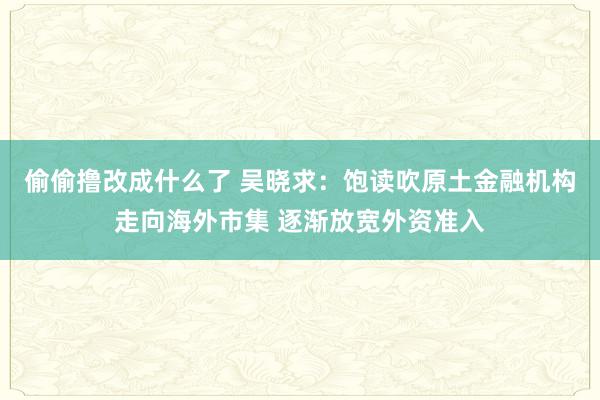 偷偷撸改成什么了 吴晓求：饱读吹原土金融机构走向海外市集 逐渐放宽外资准入