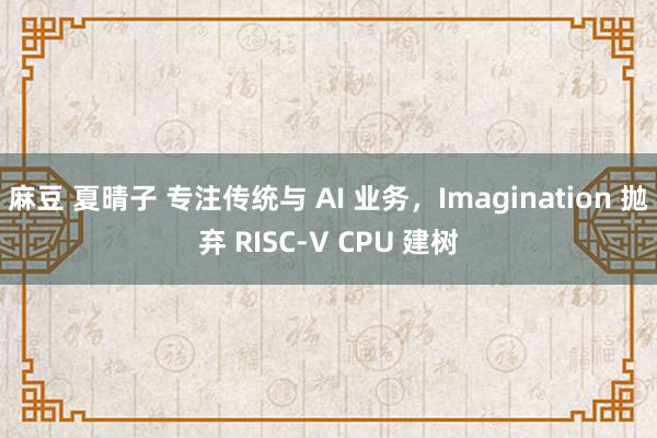 麻豆 夏晴子 专注传统与 AI 业务，Imagination 抛弃 RISC-V CPU 建树